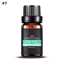 Load image into Gallery viewer, Pure Plant Essential Oils For Aromatic Aromatherapy Diffusers Aroma Oil Lavender Lemongrass Tree Oil Natural Air Care