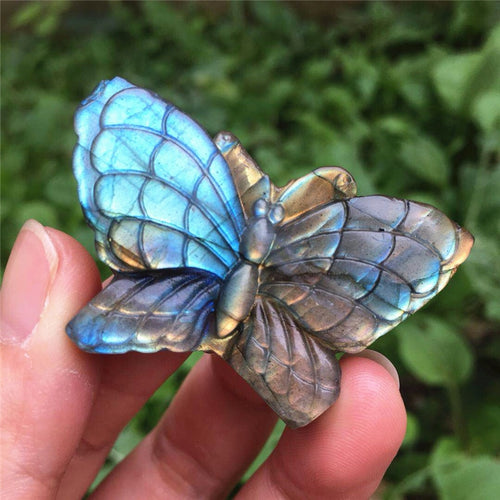 Natural Blue Labradorite Hand Carved Owl or Polished Crystal Butterfly