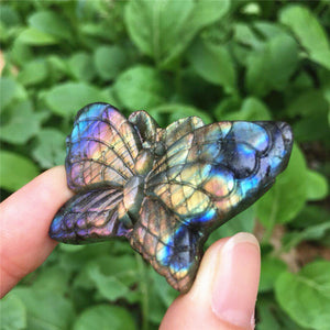 Natural Blue Labradorite Hand Carved Owl or Polished Crystal Butterfly