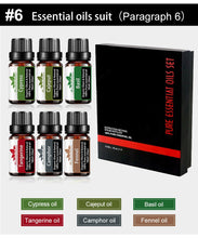 Load image into Gallery viewer, 10ml Fragrance Oils Set With Gift Box