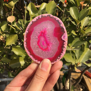 Beautiful Polished red agate Fossil Crystal Slice Madagascar